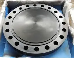 Blind flanges 