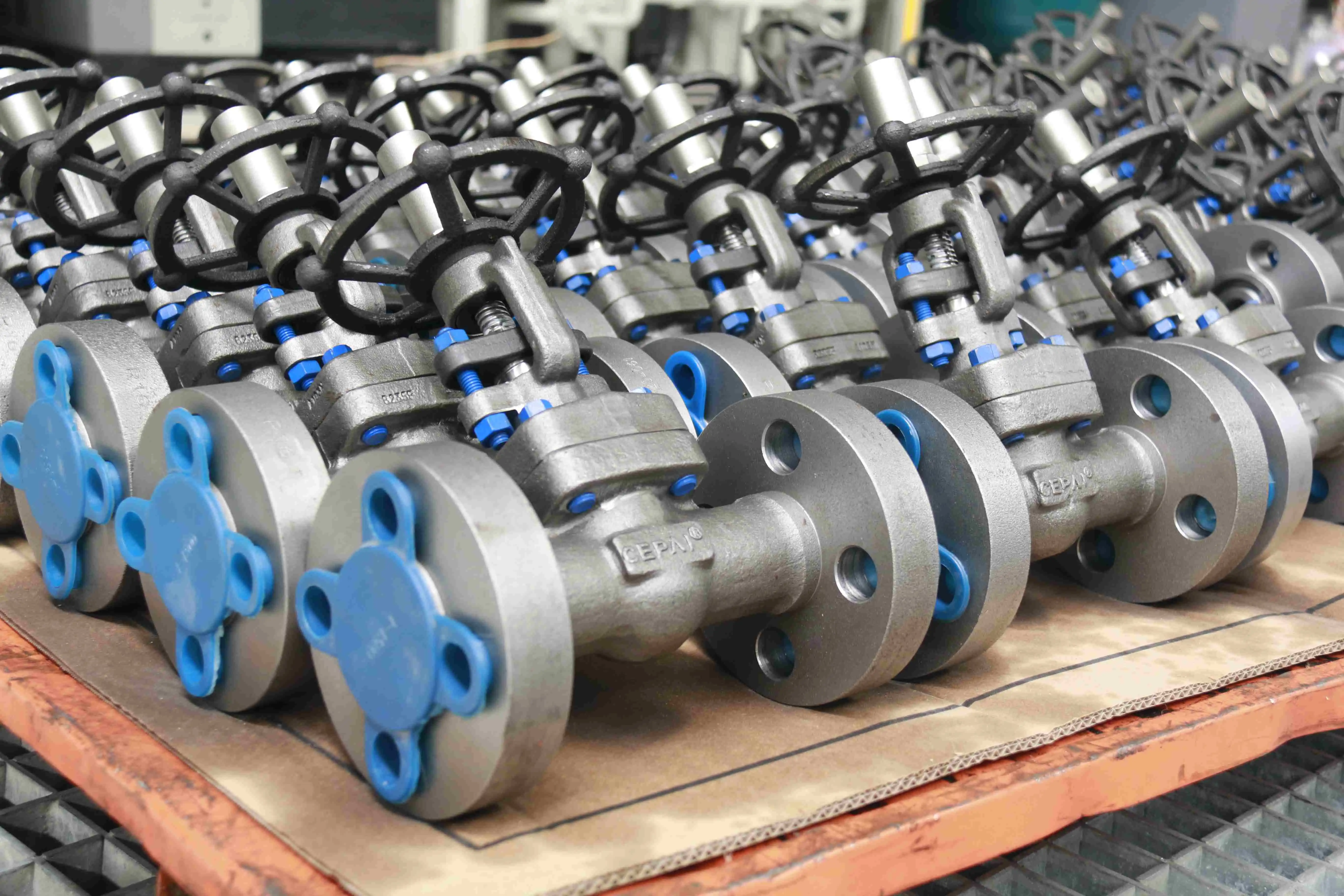 Cepai valves