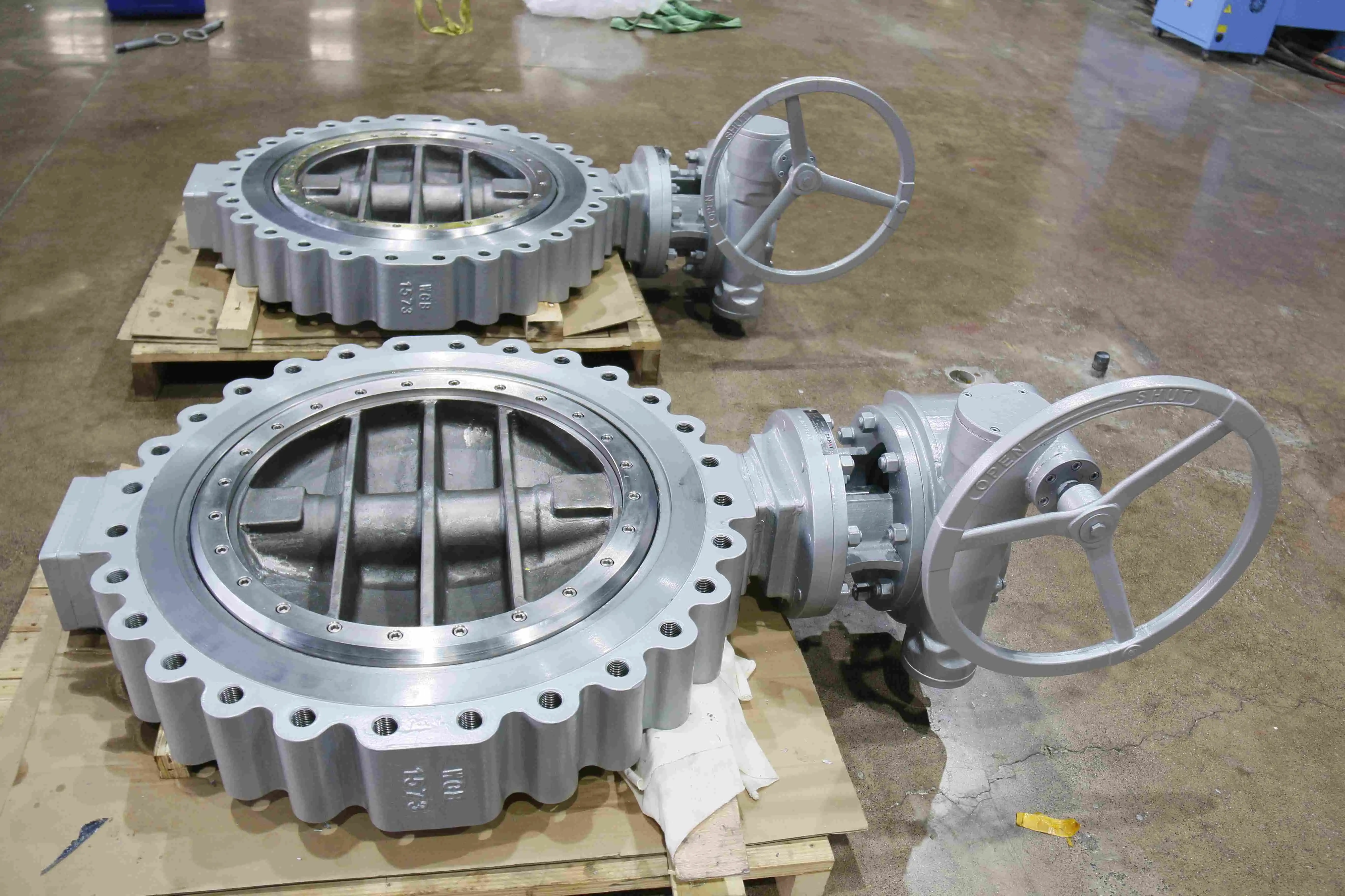 Cepai valves