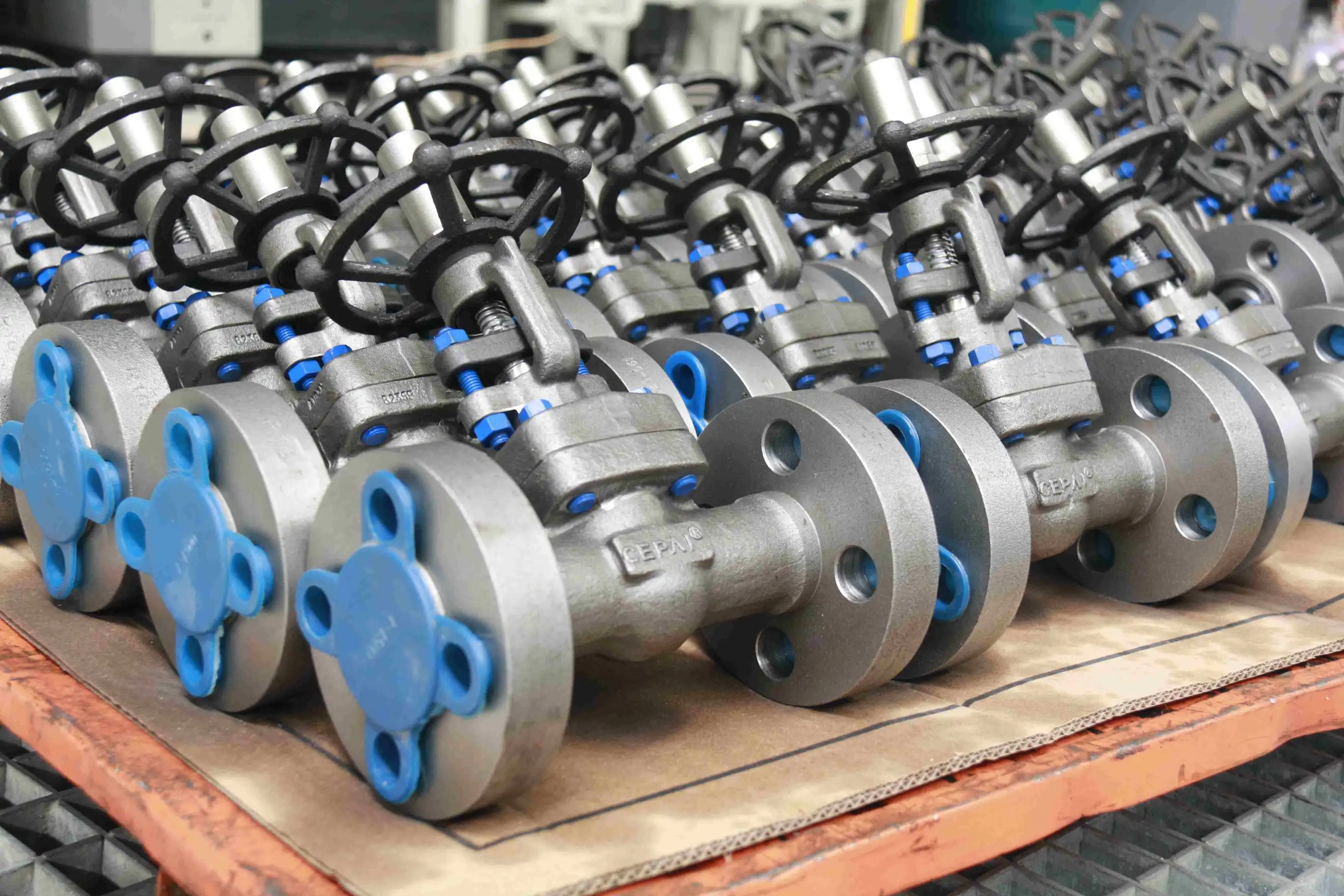 Cepai valves