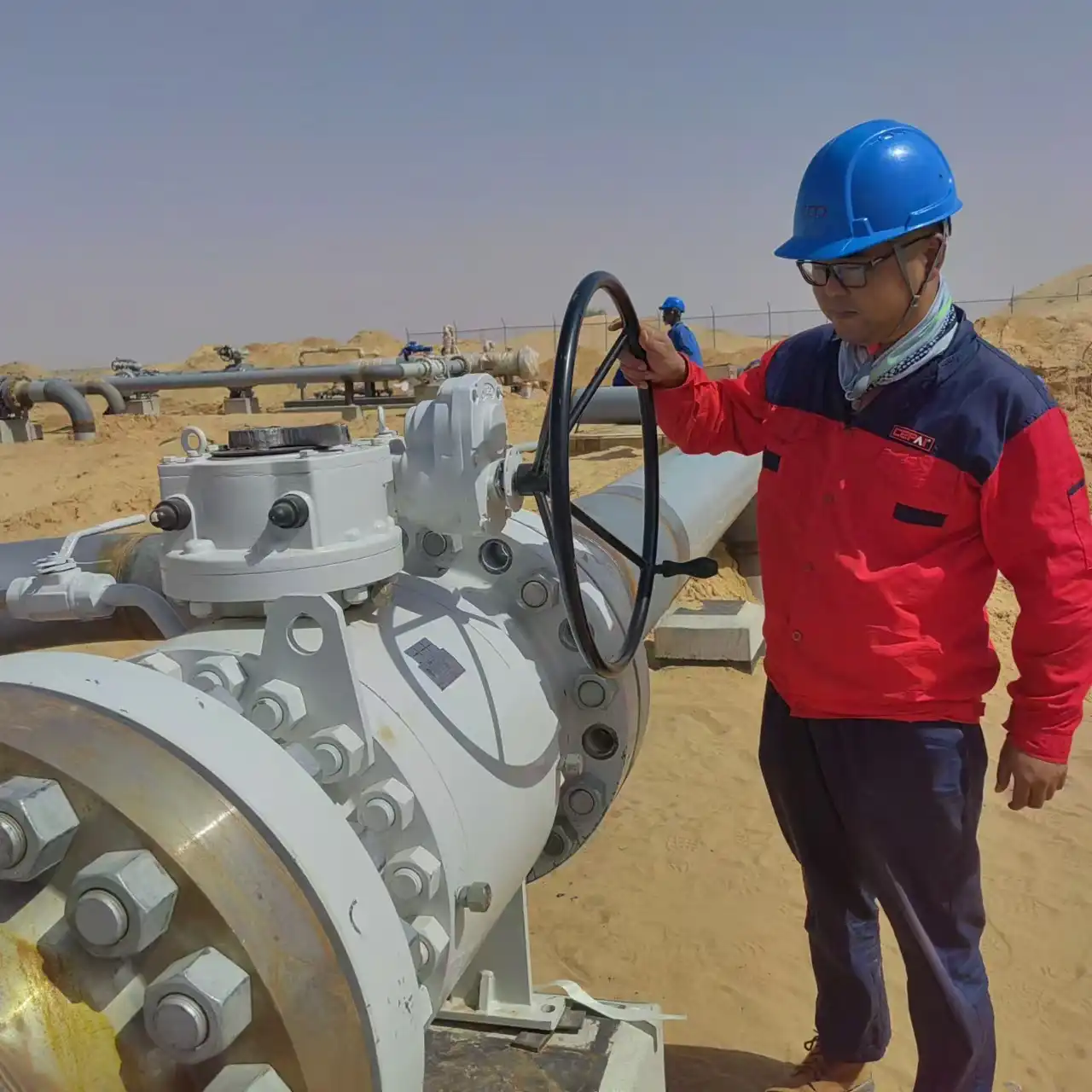 Cepai on site product