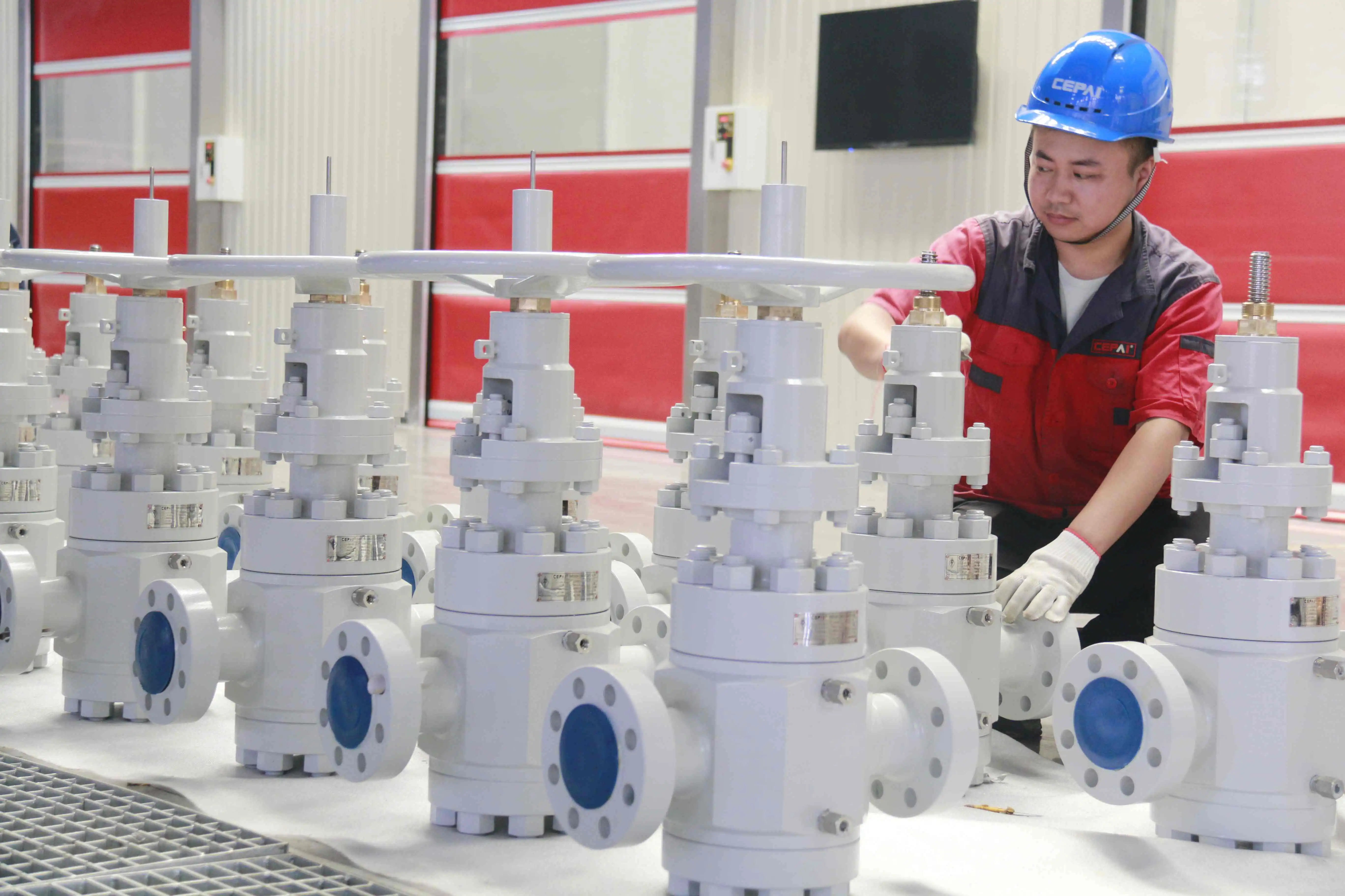 Cepai valve