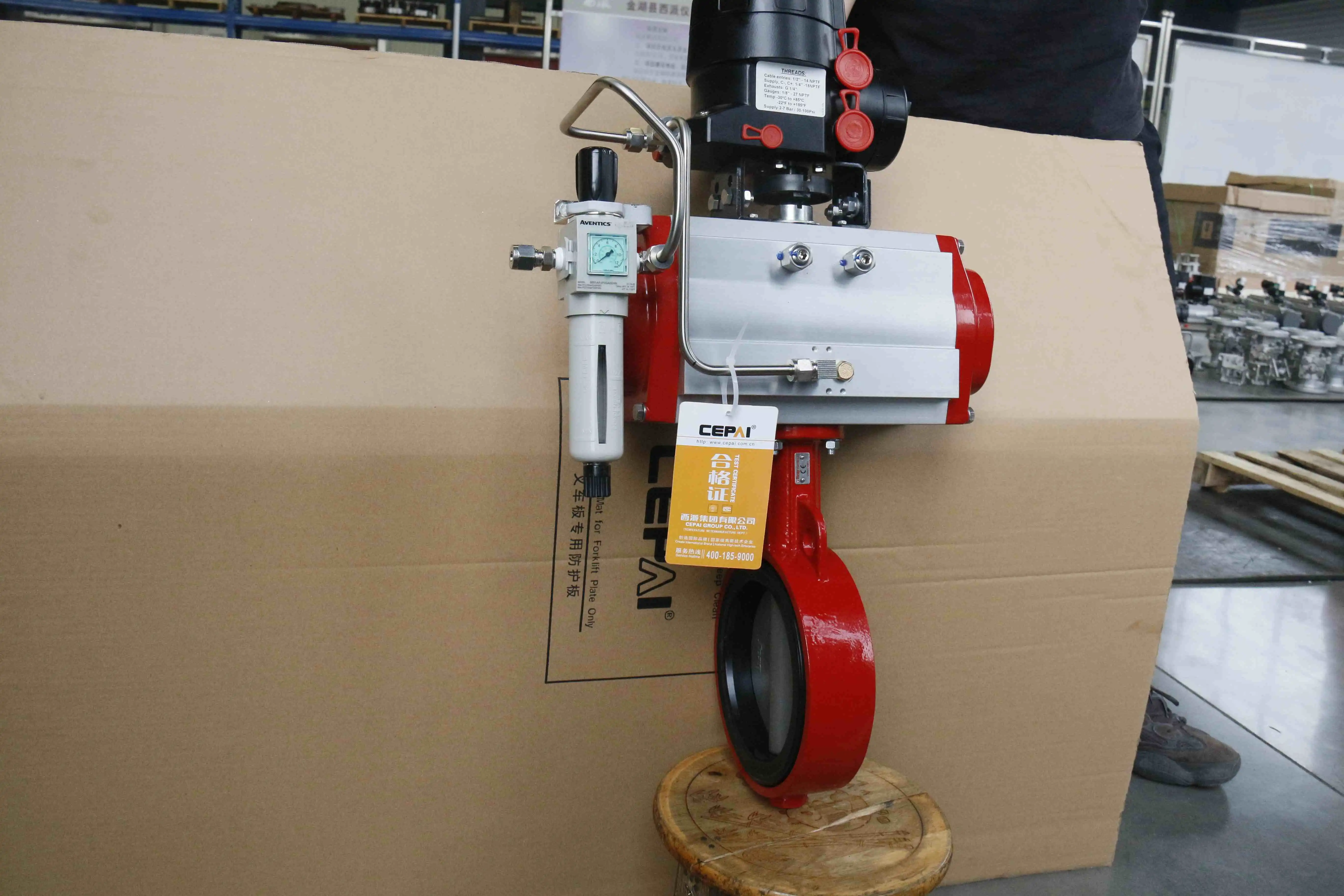 Cepai valve