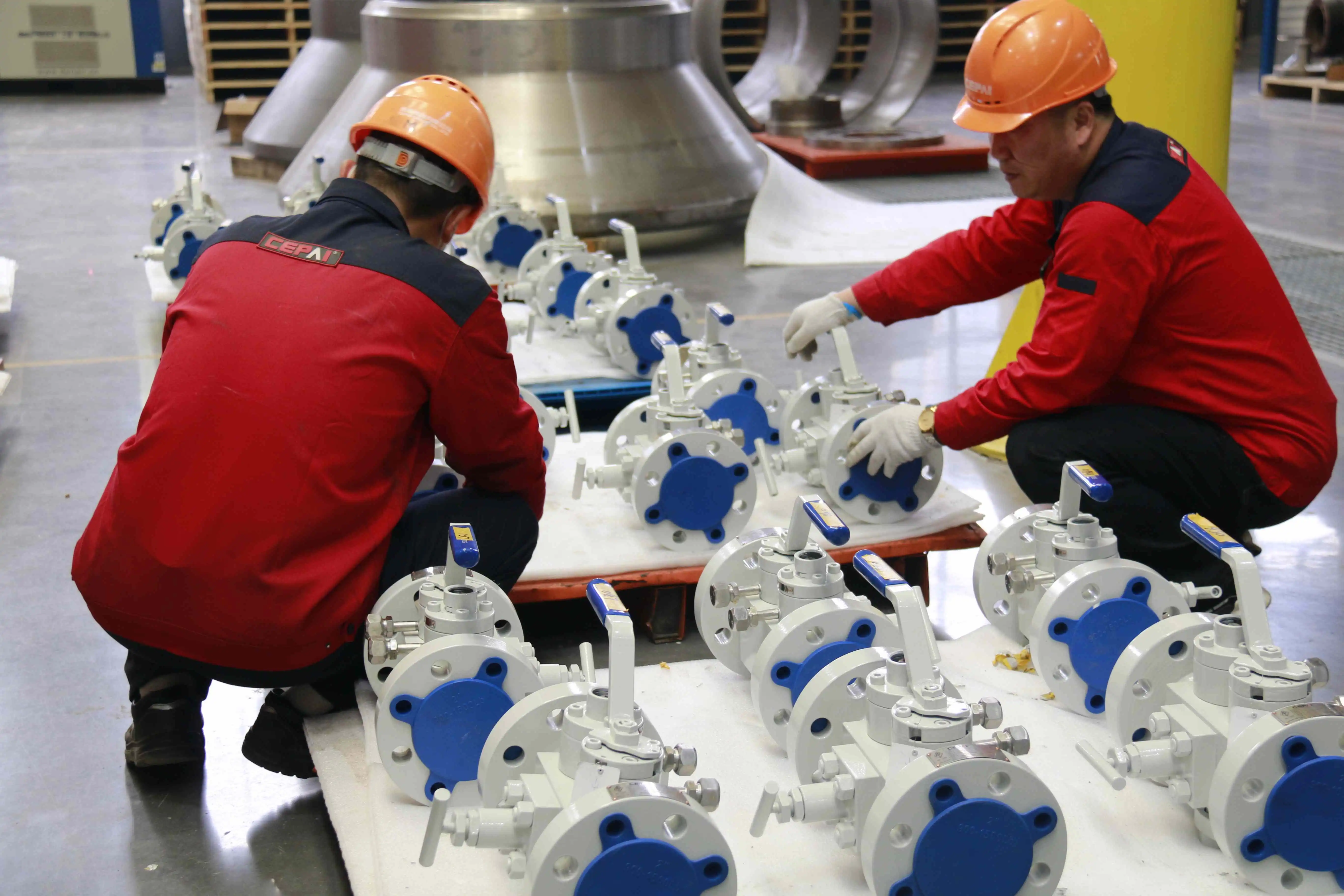 Cepai valve