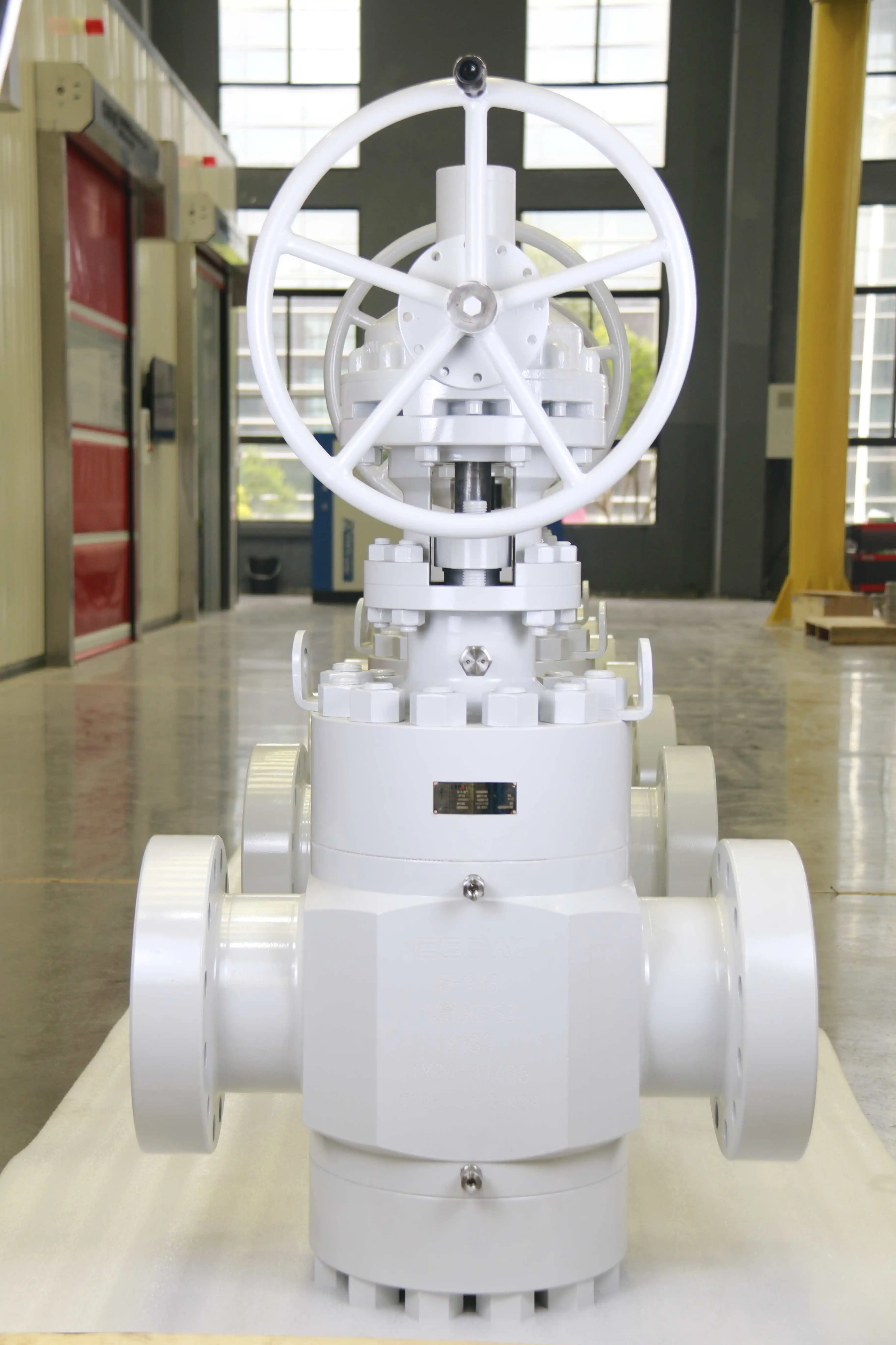 Cepai valve